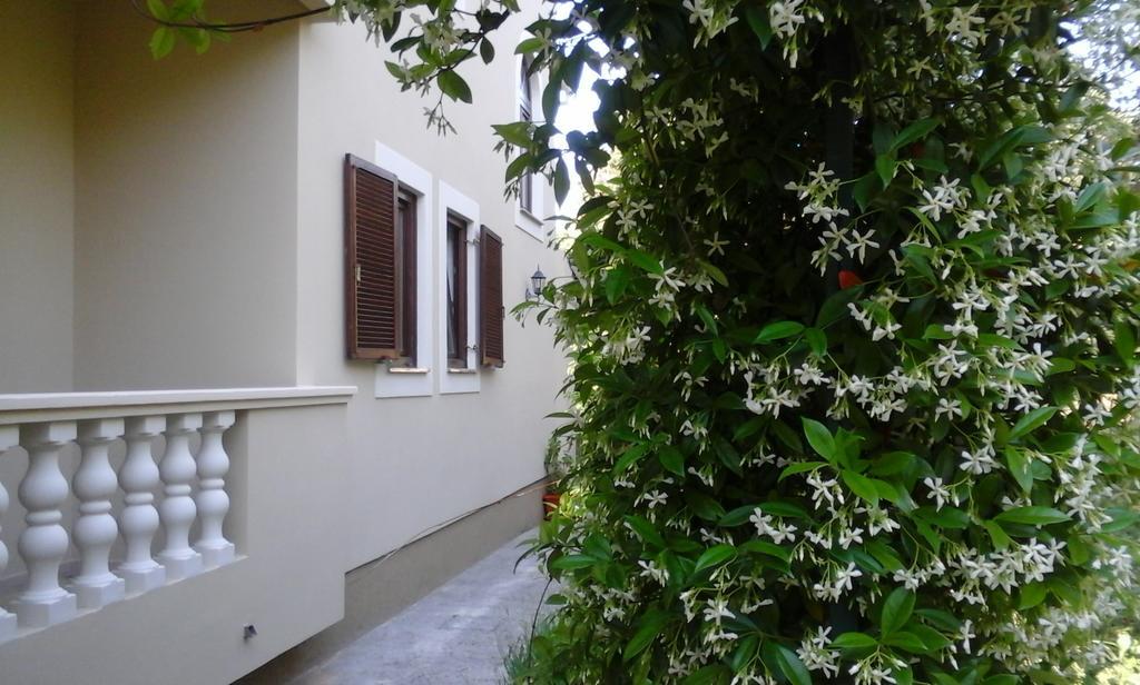 Apartments Rozelyn Ugljan Pokój zdjęcie